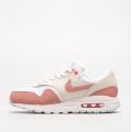 Детские кроссовки Nike Air Max 1 (GS) - DZ3307-101
