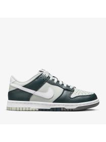 Детские кроссовки Nike Dunk Low (GS) - FB9109-300