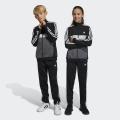 Детский костюм Adidas Essentials 3-Stripes Tiberio Track Suit - HR6406