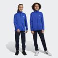 Детский костюм Adidas Essentials Big Logo Tracksuit - HR6408
