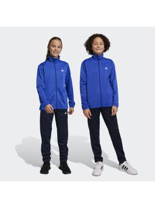 Детский костюм Adidas Essentials Big Logo Tracksuit - HR6408