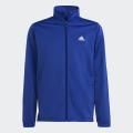 Детский костюм Adidas Essentials Big Logo Tracksuit - HR6408