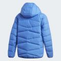 Детская куртка Adidas Frosty - GG3725