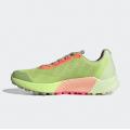 Мужские кроссовки Adidas Terrex Agravic Flow 2.0 GTX - H03182