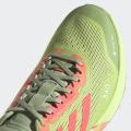 Мужские кроссовки Adidas Terrex Agravic Flow 2.0 GTX - H03182