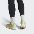 Мужские кроссовки Adidas Terrex Agravic Flow 2.0 GTX - H03182