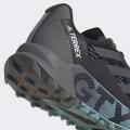 Мужские кроссовки Adidas Terrex Agravic Flow 2.0 GTX - H03382