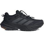 Мужские кроссовки Adidas Terrex Freehiker SL GTX