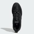 Мужские кроссовки Adidas Terrex Skychaser - JH6384