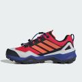 Мужские кроссовки Adidas Terrex Skychaser GTX - IH1097