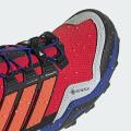 Мужские кроссовки Adidas Terrex Skychaser GTX - IH1097