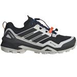 Мужские кроссовки Adidas Terrex Skychaser