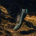 Мужские кроссовки Adidas Terrex Skychaser AX5 GTX - JQ2209
