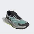 Мужские кроссовки Adidas Terrex Soulstride Flow GTX - IF5009