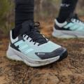 Мужские кроссовки Adidas Terrex Soulstride Flow GTX - IF5009