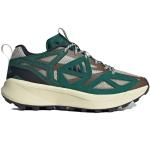 Мужские кроссовки Adidas Kantai Trail