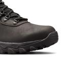 Мужские ботинки Columbia Newton Ridge Plus II Waterproof - BI3970-011