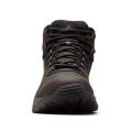 Мужские ботинки Columbia Newton Ridge Plus II Waterproof - BM3970-011