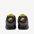 Мужские кроссовки Nike Air Max 90 GTX - DJ9779-001