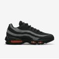 Мужские кроссовки Nike Air Max 95 - DX2657-001