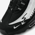 Мужские кроссовки Nike Air Max 95 SE - DX4615-100