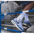 Мужские кроссовки Nike Air Max 1  ’86 PRM - DV7525-001