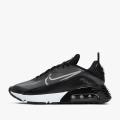 Мужские кроссовки Nike Air Max 2090 - CW7306-001
