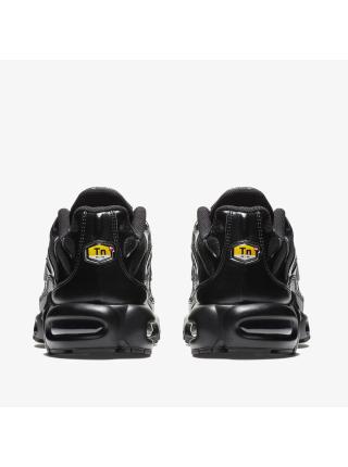 Мужские кроссовки Nike Air Max Plus - 604133-050