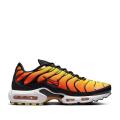Мужские кроссовки Nike Air Max Plus - HF0552-001