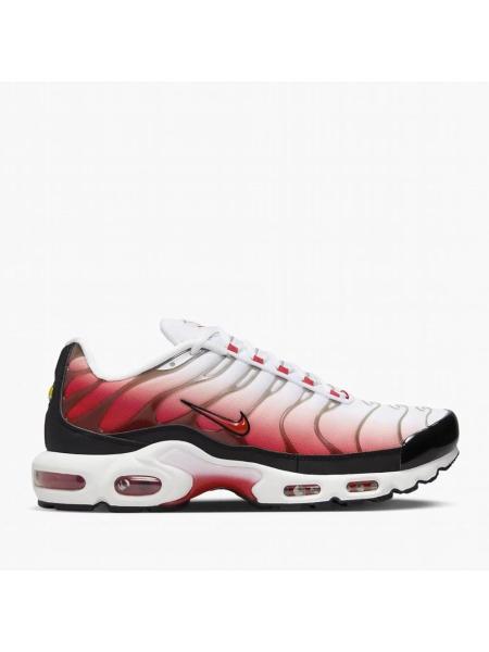 Мужские кроссовки Nike Air Max Plus - HM9611-100