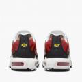 Мужские кроссовки Nike Air Max Plus - HM9611-100