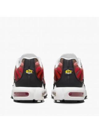 Мужские кроссовки Nike Air Max Plus - HM9611-100