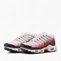 Мужские кроссовки Nike Air Max Plus - HM9611-100