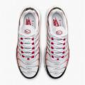 Мужские кроссовки Nike Air Max Plus - HM9611-100