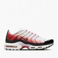 Мужские кроссовки Nike Air Max Plus - HM9611-100
