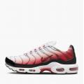 Мужские кроссовки Nike Air Max Plus - HM9611-100