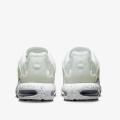 Мужские кроссовки Nike Air Max Terrascape Plus - DQ3977-100