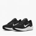 Мужские кроссовки Nike Air Winflo 10 - DV4022-003