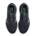 Мужские кроссовки Nike Air Winflo 10 - DV4022-004