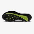 Мужские кроссовки Nike Air Winflo 10 - FN6825-010