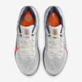 Мужские кроссовки Nike Air Winflo 11 - FJ9509-103