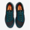 Мужские кроссовки Nike Air Winflo 9 Shield - DM1106-002