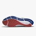 Мужские кроссовки Nike Air Zoom Pegasus 38 A.I.R. Kelly Anna London - DD1827-001