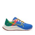 Мужские кроссовки Nike Air Zoom Pegasus 38 A.I.R. Jordan Moss - DO7763-400