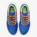 Мужские кроссовки Nike Air Zoom Pegasus 38 A.I.R. Jordan Moss - DO7763-400