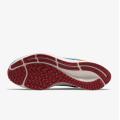 Мужские кроссовки Nike Air Zoom Pegasus 38 A.I.R. Jordan Moss - DO7763-400