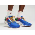 Мужские кроссовки Nike Air Zoom Pegasus 38 A.I.R. Jordan Moss - DO7763-400