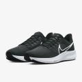 Мужские кроссовки Nike Air Zoom Pegasus 39 - DH4071-001