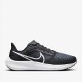 Мужские кроссовки Nike Air Zoom Pegasus 39 - DH4071-010