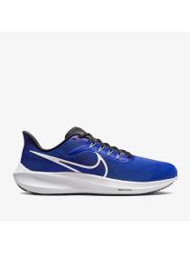 Мужские кроссовки Nike Air Zoom Pegasus 39 - DH4071-400